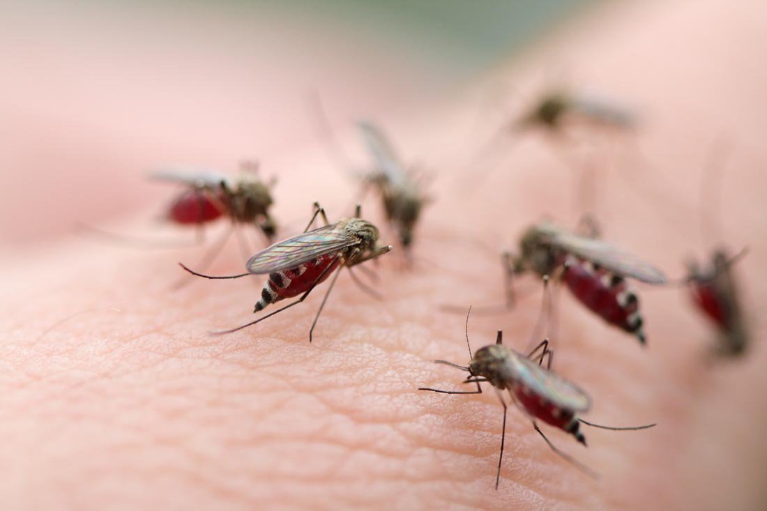 Những điều cần biết về bệnh sốt xuất huyết